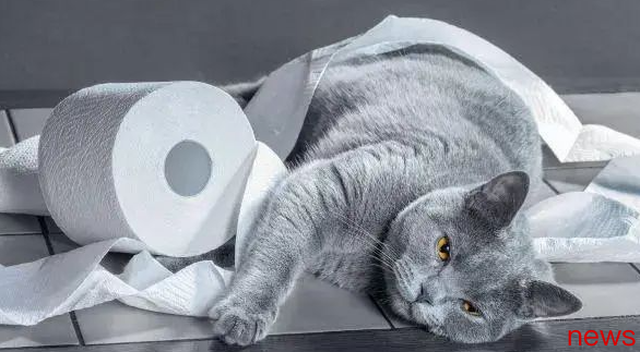 These situations indicate that your cat is sick. Have you noticed it?